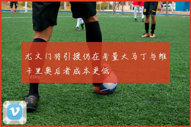 尤文门将引援仍在考量大马丁与维卡里奥后者成本更低