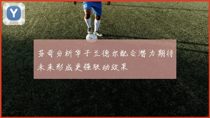芬奇分析华子兰德尔配合潜力期待未来形成更强联动效果